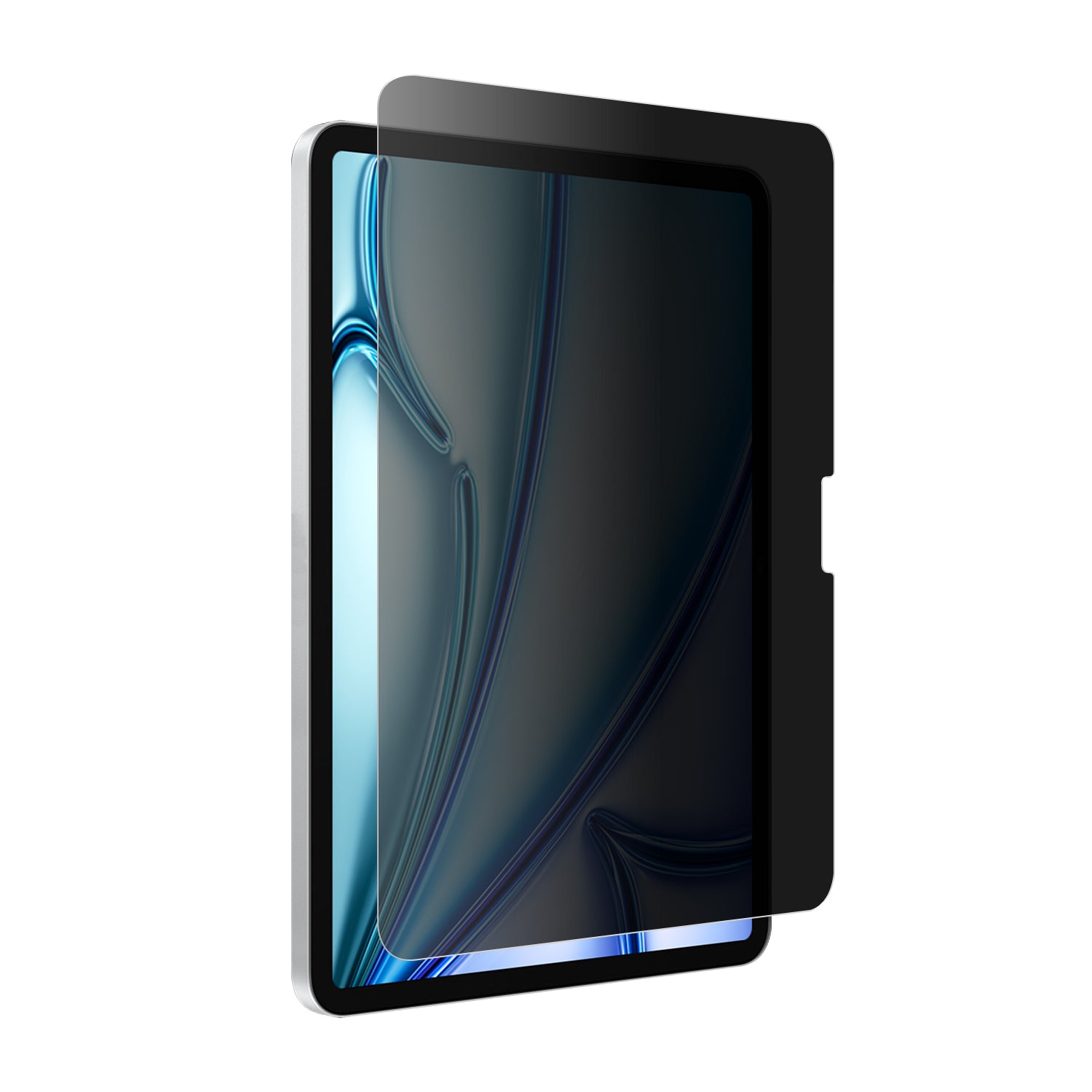 A09127PRV_Main_iPadAir11privac